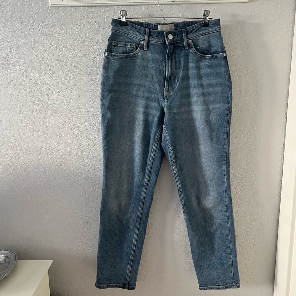 Everlane The Curvy Cheeky High Rise Jeans